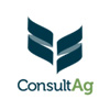 Consultag Logo